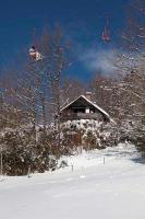 Pet & Family Friendly House Viktorija - house near Golica with Triglav view - Chambres d'hôtes Jesenice