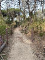 Haus mit 1 Schlafzimmer