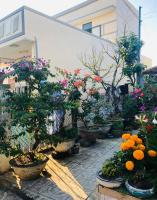 HOMESTAY LOAN ANH - B&B Lý Sơn