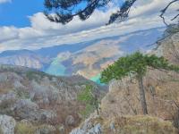 Vila Tutić Apartman 1 i Apartman 2 - Bed and Breakfast Mitrovac