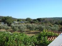 Apartamento de 1 dormitorio con terraza