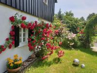 B&B Marklissa - Im Dreiländereck - DOM PRZY TRZECH GRANICACH - Bed and Breakfast Marklissa