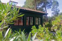 Villa sous les pins de Moliets - B&B
