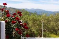 Villa Kounoupas, comfy villa with swimming pool up to 8 guests! - Bed and Breakfast