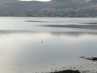 Standaard Driepersoonskamer