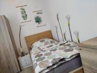 Appartamento con 2 Camere da Letto