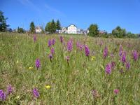 B&B Masserberg - Hotel Schöne Aussicht - Bed and Breakfast Masserberg