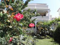 Apartments Lopar (893) - B&B