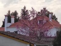Quinta do Gestal - Soutelo - Retiro Rural no Minho Natureza & Sossego perto de Braga - B&B Vila Verde