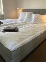 Deluxe Doppelzimmer mit Gemeinschaftsbad