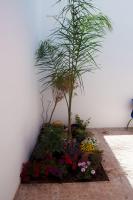 Standard Doppelzimmer