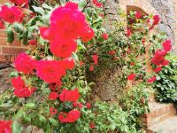 Brennerei Haselberg - Bed and Breakfast Wriezen