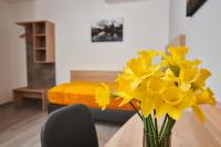 Grande Chambre Simple 