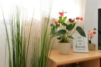 Apartments Divna - B&B Betina