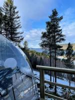 Glassigloo med panoramautsikt - Nordlys og stjernehimmel - Fosen - Chambres d'hôtes Husby