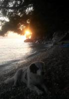 Apartment Dora - B&B Makarska