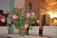 B&B Ortona - LA QUERCIA Appartamenti - Bed and Breakfast Ortona