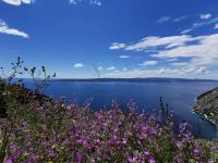 Apartments Deak - Chambres d’hôtes Makarska