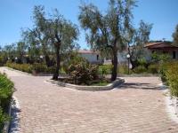 Apartment in Vieste/Apulien 20886 - B&B