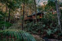 B&B Montville - Narrows Escape Rainforest Retreat - Bed and Breakfast Montville