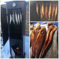 Ferienwohnung mit Terrasse - Insel Usedom - Bed and Breakfast Trassenheide