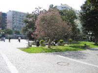Villa Grado - B&B Grado