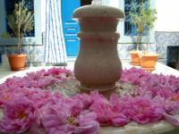 Dar Baaziz - B&B Sousse