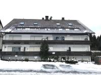 Apartment am Bikepark mit Kamin und Sauna - B&B