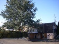 Reni's Oase am Bodensee - B&B