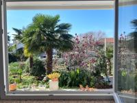 Apartments Summer Bloom - B&B Krk