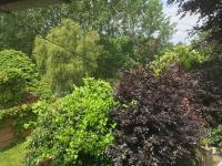 Studio met Uitzicht op de Tuin