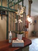 Hostal Los Escudos - B&B