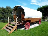 Wacky Stays - unique farm-stay glamping rentals, FREE animal feeding tours - B&B