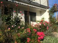 Stilvolles Studio im Allgäu - B&B
