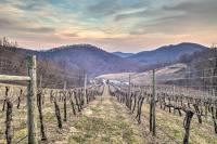 Spacious Faber Home with Yard, Steps to Winery! - B&B
