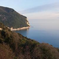 Affittacamere Villa Zelinda - B&B Sirolo