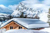 Heidi Chalets Falkertsee - Luxuschalet Bergwinter - B&B Patergassen
