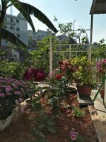 Nhà của Sóc - B&B