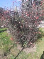 La Casetta di Nives - B&B Bari