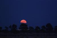 Monolocale Familiare