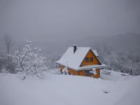 LEŚNY DWOREK 2 - B&B Wołkowyja