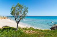 Coastal Charm-Getaway to Artichoke's Seaside Oasis - Chambres d’hôtes Xerokampos