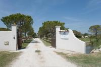 Mas Lou Caloun - Chambre d'Hôte face à la piscine en Camargue - Les Saintes Maries de la Mer - B&B