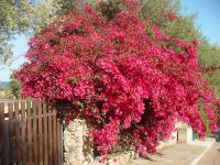 Casa a 300mt.dal mare CalaSinzias, 6 letti, AC, Pets welcome, Wi-Fi free - Ferienwohnung