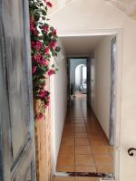 Villa Nice Mallorca - B&B Palma di Maiorca