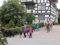 Gerwenshof - B&B Schmallenberg