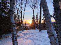 Chalet Sous Les Pins - B&B Les Éboulements