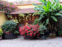 Gite Fruehmess - B&B