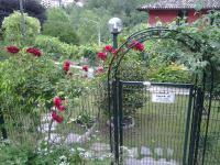 B&B Casa Cantoniera - Bed and Breakfast