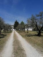 AGRITURISMO COLOMBARE TEBOI - Chambres d'hôtes Lazise